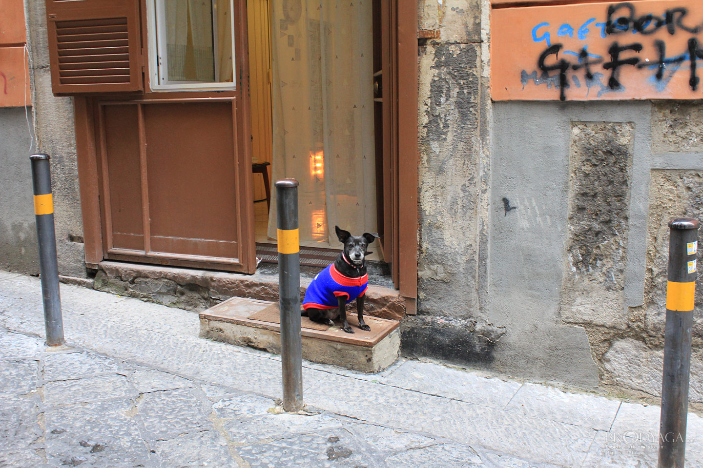 Naples